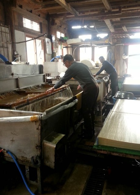 Making paper in Jeonju.