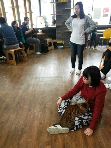 I think this lady is the cat whisperer. At one point she had three cats sleeping in her lap. 