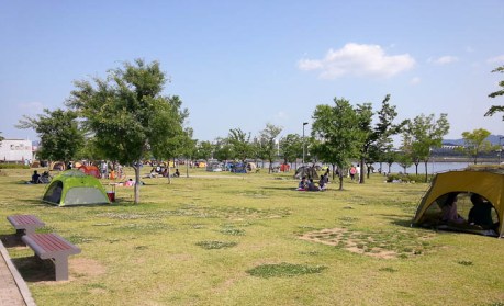 Koreans like to pitch tents for their picnics in the park. I suppose it makes sense. 