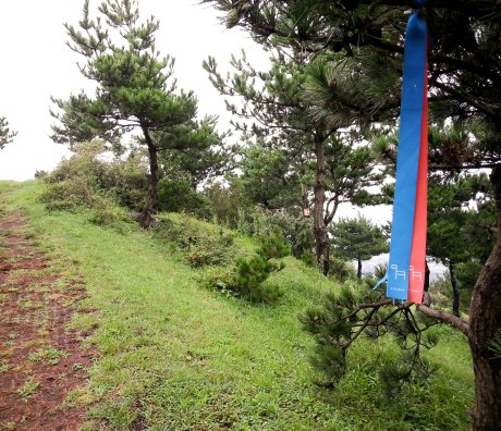The Jeju Olle Trails are marked with these blue and red ribbons.