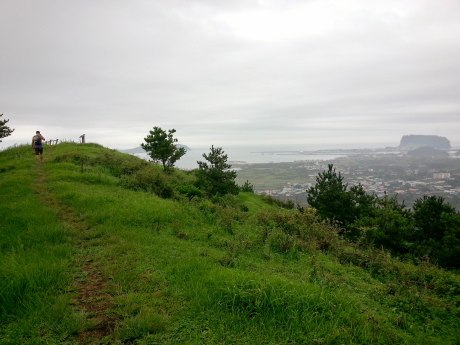 More of trail #1. I love how green it was.