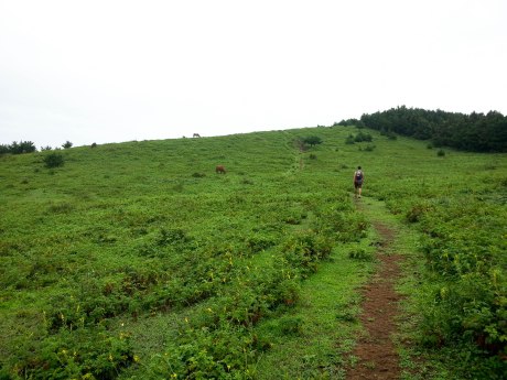 This is when we had a 30 minute break from the rain.