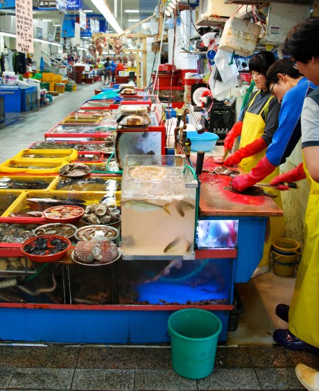 There is a huge dining area in the market as well where you can enjoy the freshly caught fish either cooked or raw.