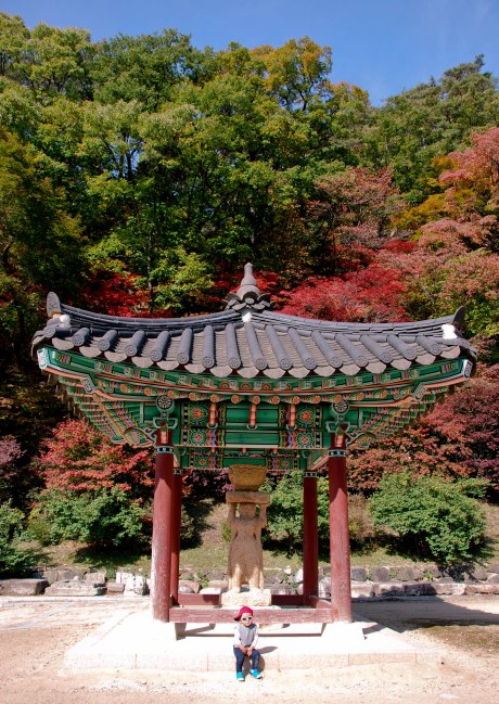 I found this cool little guy just hanging out at the temple.