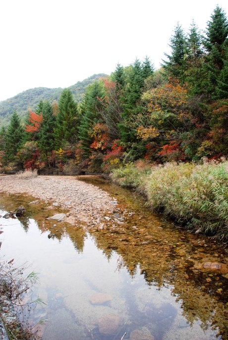 I went hiking in Songnisan National Park last weekend to catch some of the fall foliage.
