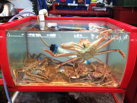 I think this guy is trying to escape.