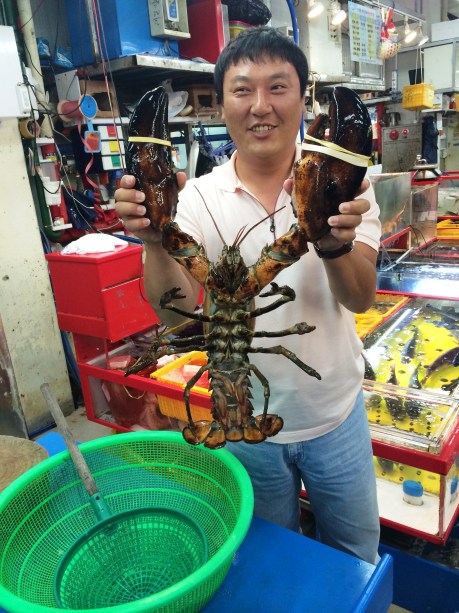 Is it just me, or is that lobster giant?