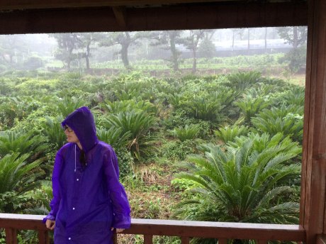 We hung out under this pavilion for a while to see if the storm might pass. Nope, it was there to stay for several days.