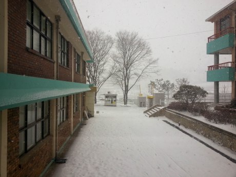 This is the view from my office. I had no idea it was going to snow so often here.