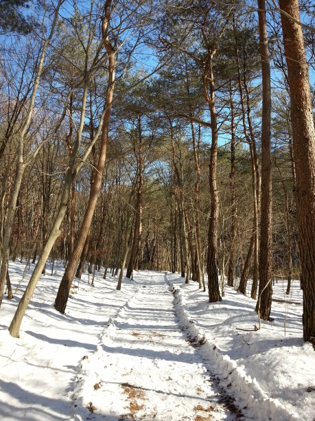 The walking meditation path.